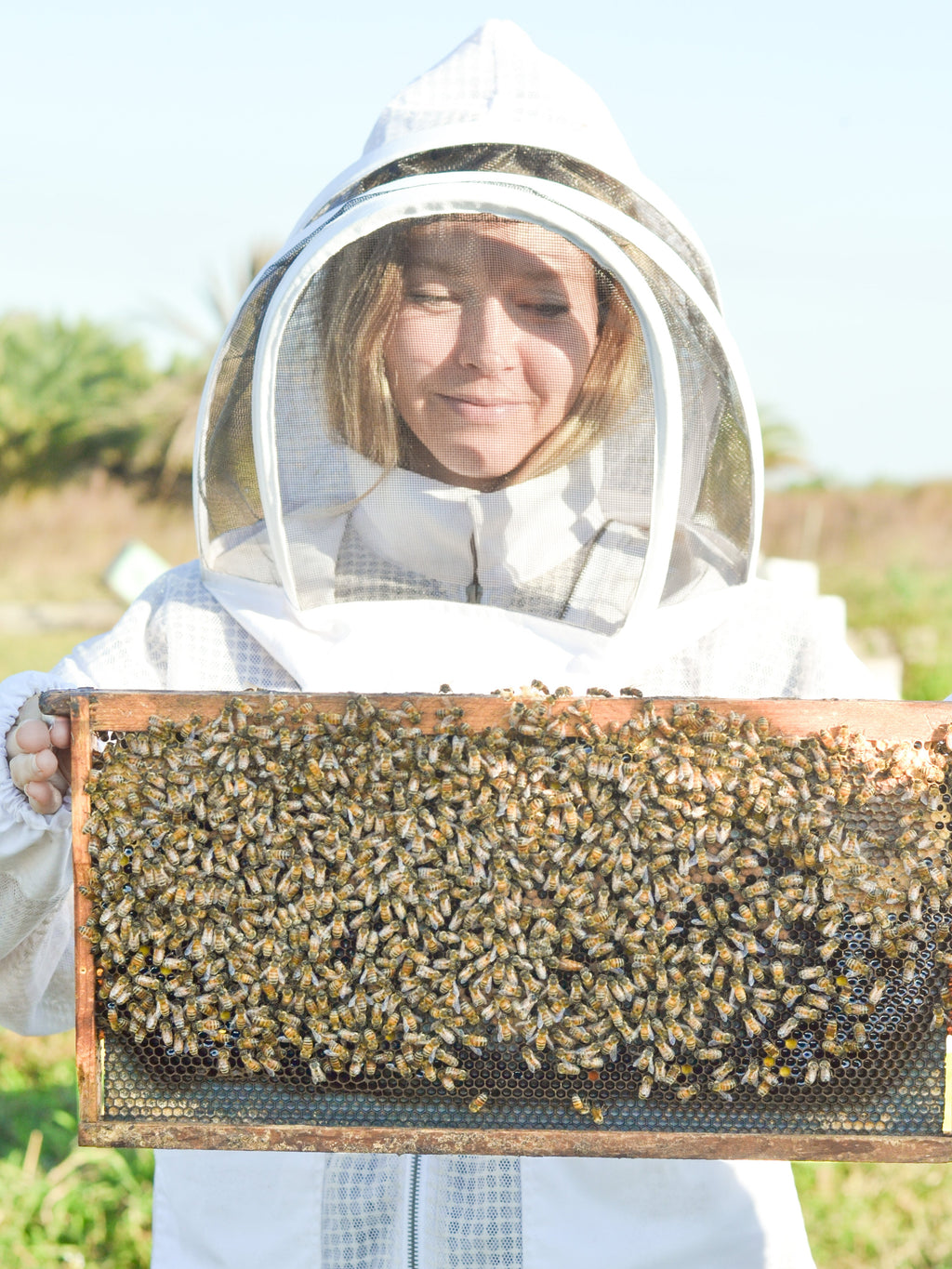 Soft + Gentle Buttermilk Soap Made for Sensitive Skin Fragrance Free Handmade Tallow and Goat Milk Soap Bar